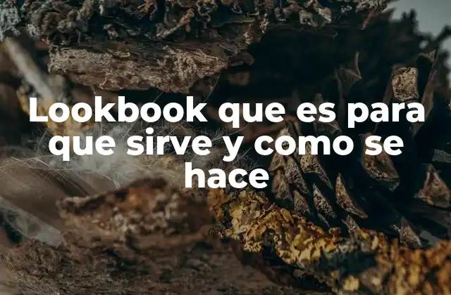 Lookbook que es para que Sirve y como Se Hace
