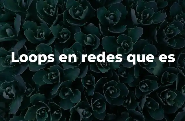 Loops en Redes que es