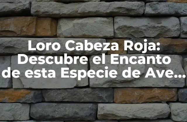 Loro Cabeza Roja: Descubre el Encanto de Esta Especie de Ave Colorida
