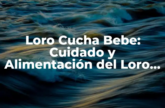 Loro Cucha Bebe: Cuidado y Alimentación Del Loro Cucha
