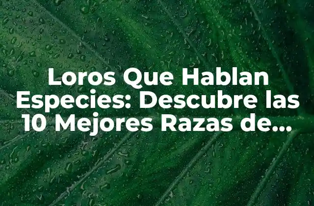 Loros que Hablan Especies: Descubre las 10 Mejores Razas de Pericos que Imitan la Voz Humana