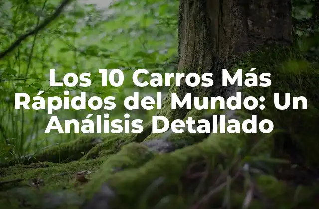 Los 10 Carros Más Rápidos Del Mundo: un Análisis Detallado