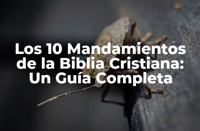 Los 10 Mandamientos de la Biblia Cristiana: un Guía Completa
