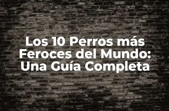 Los 10 Perros Más Feroces Del Mundo: una Guía Completa