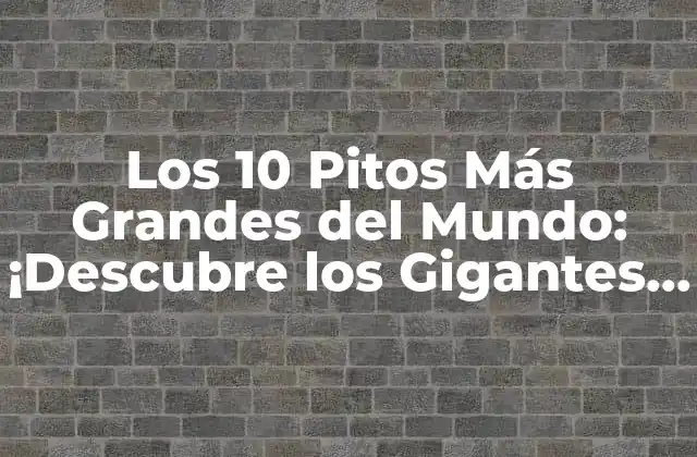 Los 10 Pitos Más Grandes Del Mundo: ¡descubre los Gigantes de la Naturaleza!