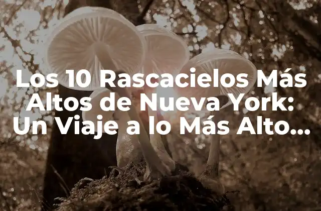 Los 10 Rascacielos Más Altos de Nueva York: un Viaje a Lo Más Alto de la Ciudad