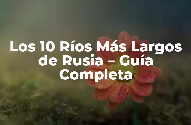 Los 10 Ríos Más Largos de Rusia – Guía Completa