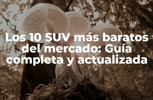 Los 10 Suv Más Baratos Del Mercado: Guía Completa y Actualizada