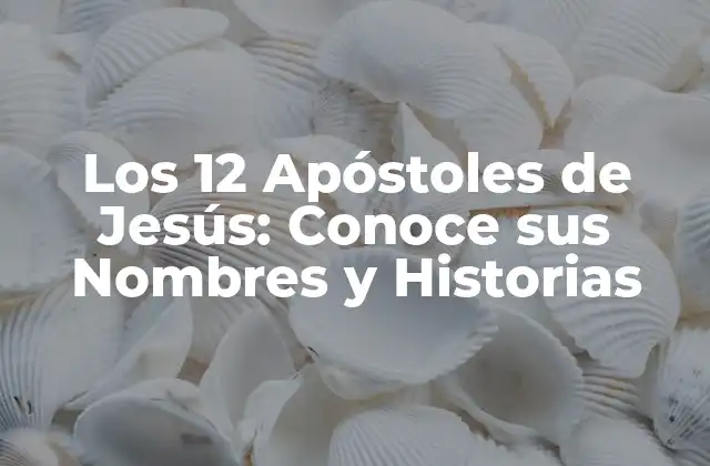Los 12 Apóstoles de Jesús: Conoce Sus Nombres y Historias