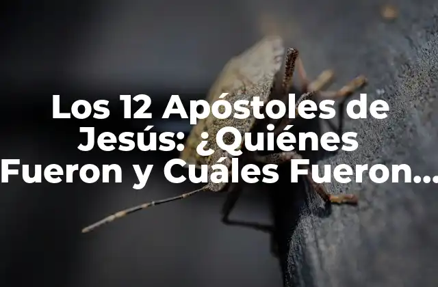 Los 12 Apóstoles de Jesús: ¿quiénes Fueron y Cuáles Fueron Sus Roles?