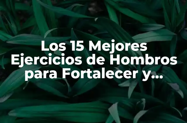 Los 15 Mejores Ejercicios de Hombros para Fortalecer y Tonificar