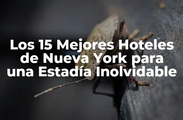 Los 15 Mejores Hoteles de Nueva York para una Estadía Inolvidable