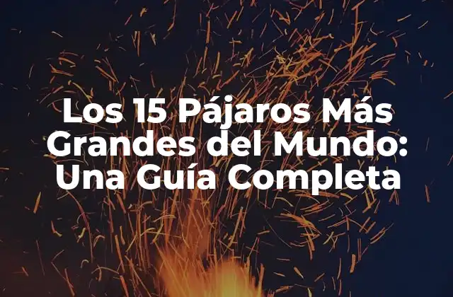Los 15 Pájaros Más Grandes Del Mundo: una Guía Completa