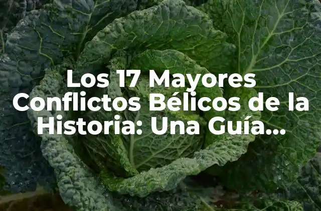 Los 17 Mayores Conflictos Bélicos de la Historia: una Guía Completa