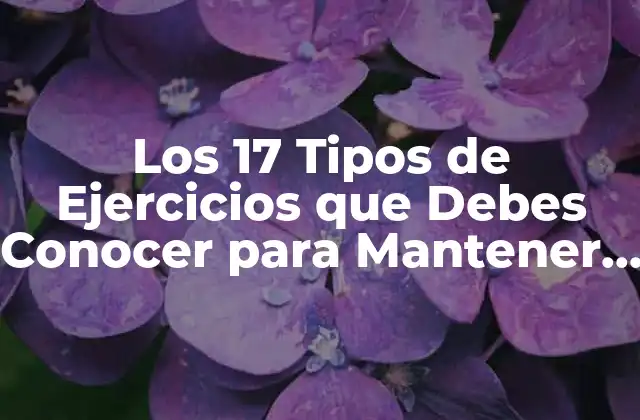 Los 17 Tipos de Ejercicios que Debes Conocer para Mantener una Buena Salud