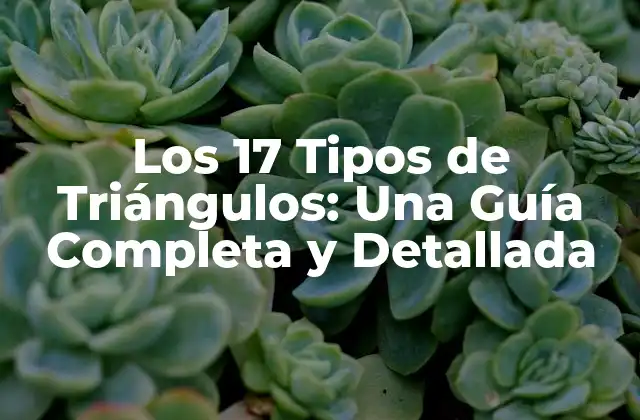 Los 17 Tipos de Triángulos: una Guía Completa y Detallada