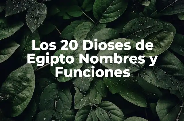 Los 20 Dioses de Egipto Nombres y Funciones