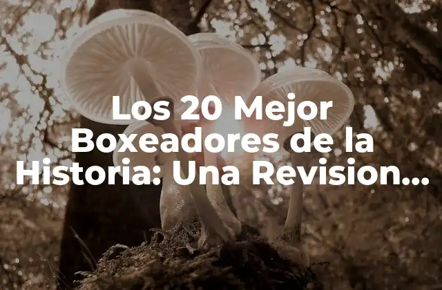 Los 20 Mejor Boxeadores de la Historia: una Revision Completa 2 Criterios para Ser Considerado uno de los Mejor Boxeadores de la Historia