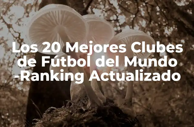 Los 20 Mejores Clubes de Fútbol Del Mundo -ranking Actualizado