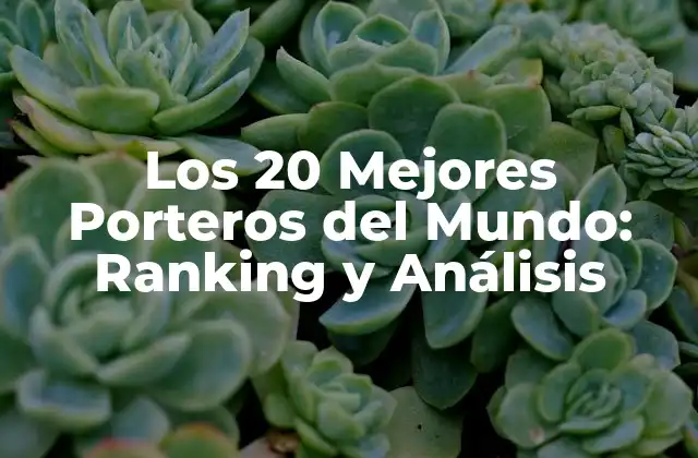 Los 20 Mejores Porteros Del Mundo: Ranking y Análisis 2 ¿Qué hace a un portero exitoso?