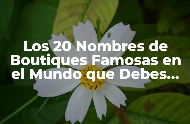Los 20 Nombres de Boutiques Famosas en el Mundo que Debes Conocer