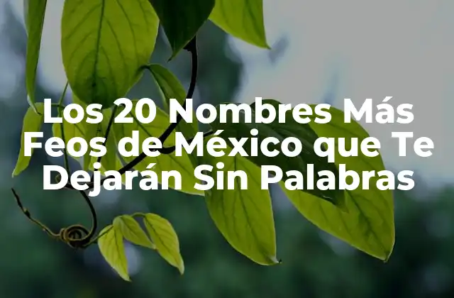 Los 20 Nombres Más Feos de México que Te Dejarán sin Palabras