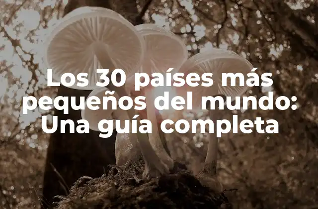 Los 30 Países Más Pequeños Del Mundo: una Guía Completa