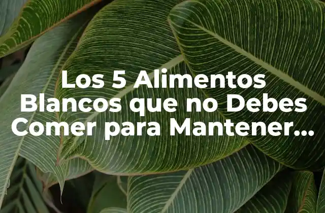 Los 5 Alimentos Blancos que No Debes Comer para Mantener una Salud Óptima