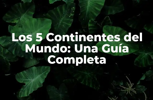 Los 5 Continentes Del Mundo: una Guía Completa