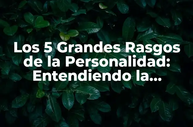 Los 5 Grandes Rasgos de la Personalidad: Entendiendo la Psicología de la Personalidad