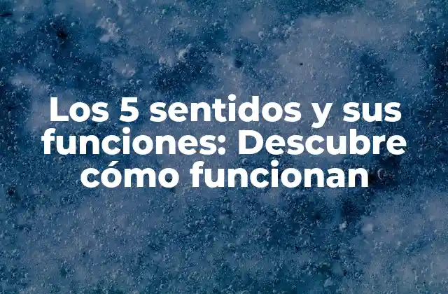 Los 5 Sentidos y Sus Funciones: Descubre Cómo Funcionan