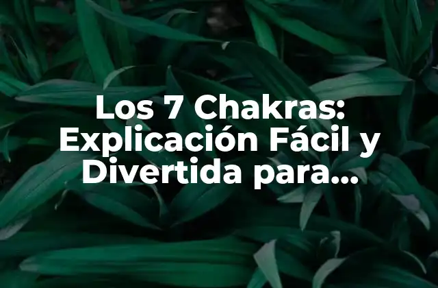 Los 7 Chakras: Explicación Fácil y Divertida para Principiantes 2 ¿Cuáles son los 7 Chakras y dónde se encuentran?
