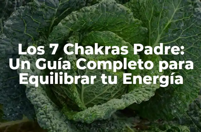 Los 7 Chakras Padre: un Guía Completo para Equilibrar Tu Energía