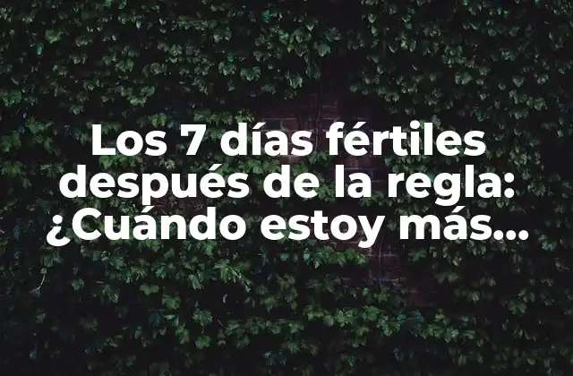 Los 7 Días Fértiles Después de la Regla: ¿cuándo Estoy Más Propensa a Quedar Embarazada?