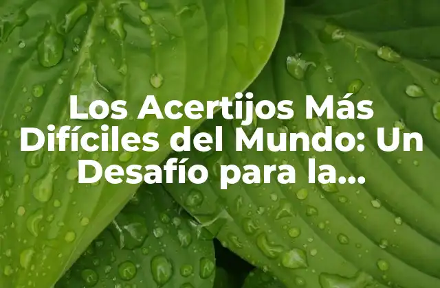 Los Acertijos Más Difíciles Del Mundo: un Desafío para la Inteligencia