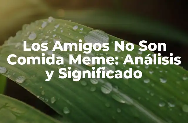 Los Amigos No Son Comida Meme: Análisis y Significado