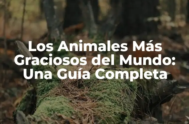 Los Animales Más Graciosos Del Mundo: una Guía Completa