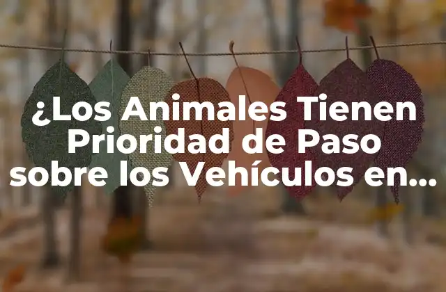 ¿los Animales Tienen Prioridad de Paso sobre los Vehículos en la Vía Pública?