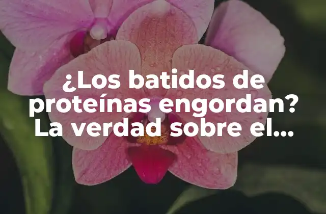 ¿los Batidos de Proteínas Engordan? la Verdad sobre el Consumo de Proteínas en Polvo