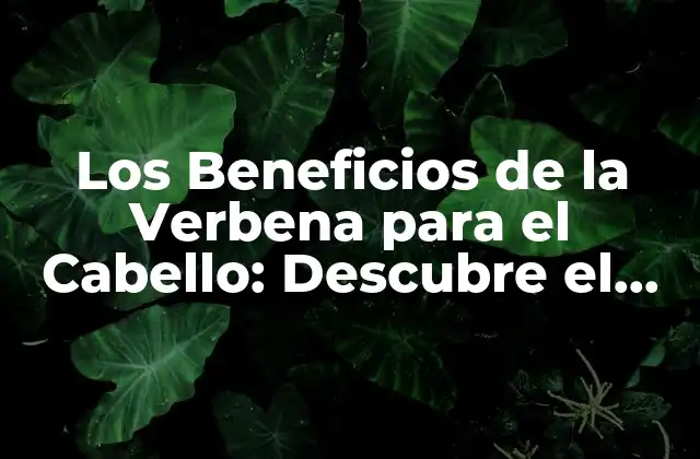 Los Beneficios de la Verbena para el Cabello: Descubre el Poder de Esta Hierba Milagrosa