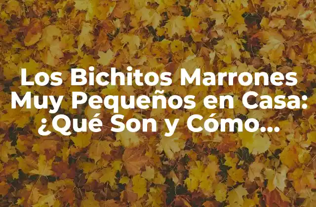 Los Bichitos Marrones Muy Pequeños en Casa: ¿qué Son y Cómo Eliminarlos? 2 ¿Qué Son los Bichitos Marrones Muy Pequeños en Casa?