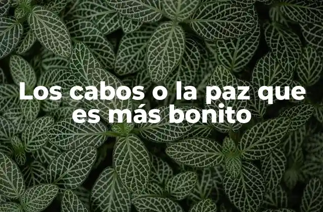 Los Cabos o la Paz que es Más Bonito