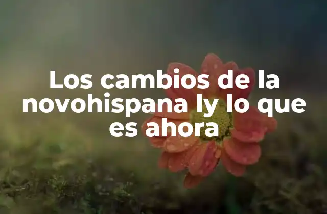 Los Cambios de la Novohispana Ly Lo que es Ahora