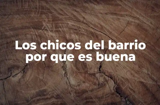 Los Chicos Del Barrio por que es Buena