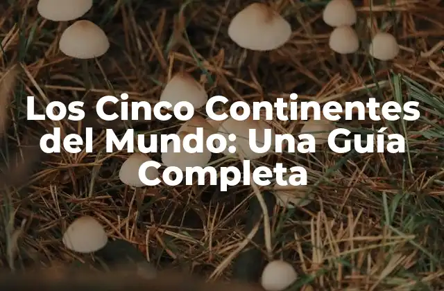 Los Cinco Continentes Del Mundo: una Guía Completa