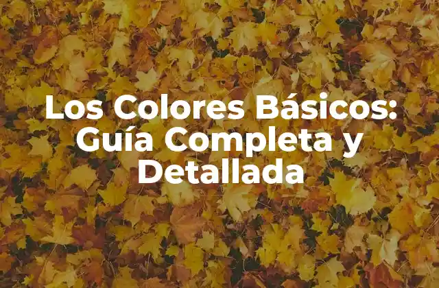 Los Colores Básicos: Guía Completa y Detallada