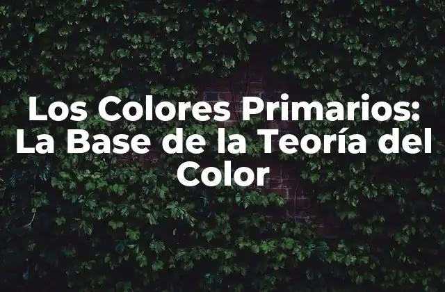 Los Colores Primarios: la Base de la Teoría Del Color