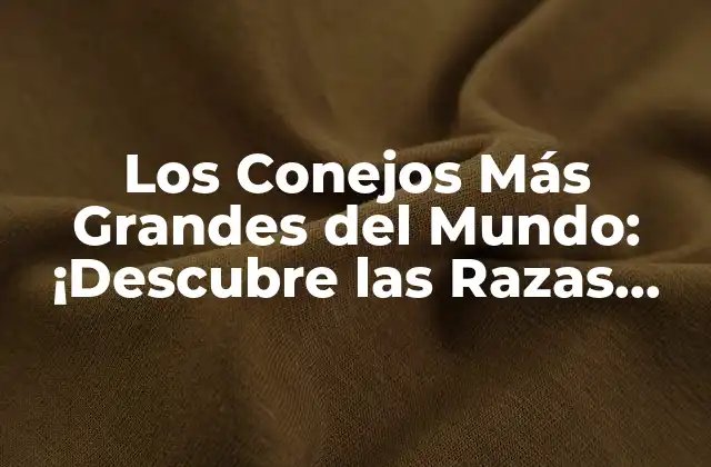 Los Conejos Más Grandes Del Mundo: ¡descubre las Razas Gigantes!