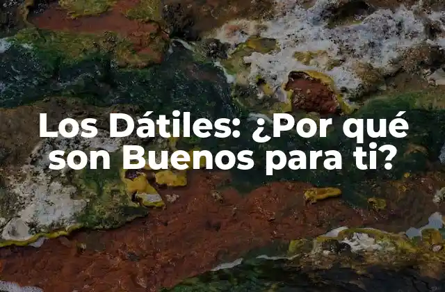 Los Dátiles: ¿por Qué Son Buenos para Ti?