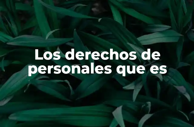 Los Derechos de Personales que es